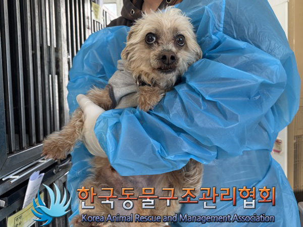 한국동물구조관리협회_441409202500120