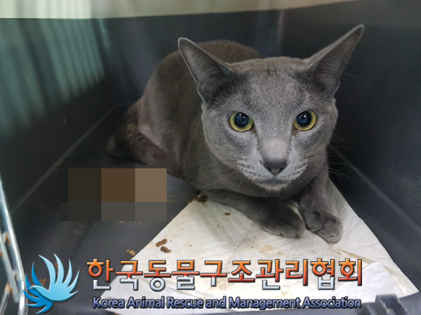 한국동물구조관리협회_411311202500021