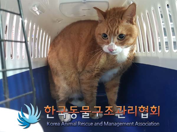 한국동물구조관리협회_411312202500010