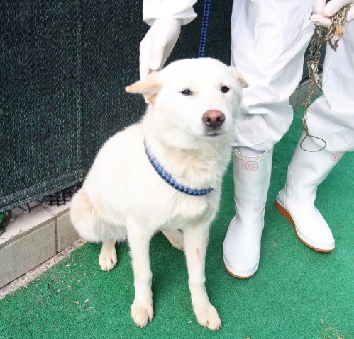 제주 동물보호센터_450650202500378