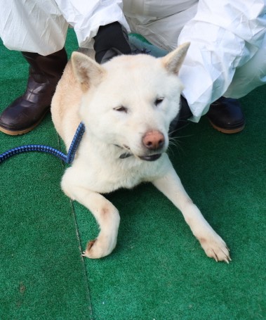 제주 동물보호센터_450650202500377