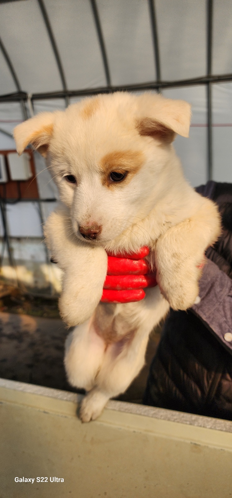 전북말산업복합센터_445471202500053