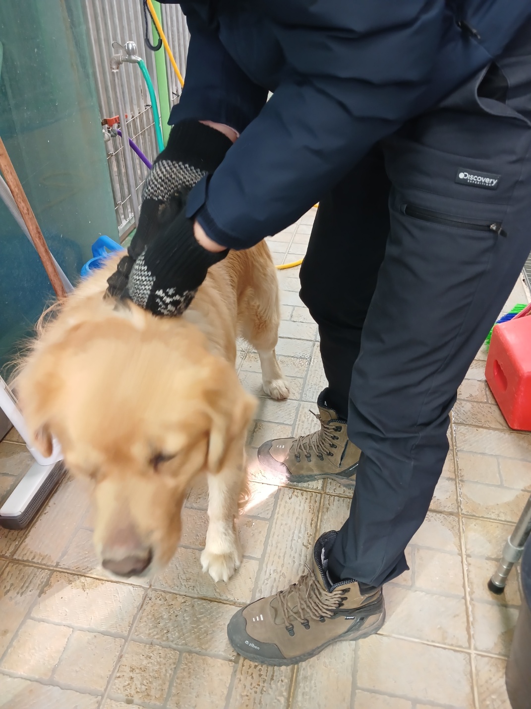 영주시 동물보호센터_447509202500039