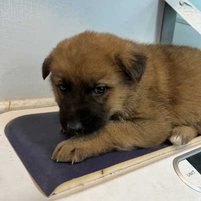 사단법인 동부_426340202500026