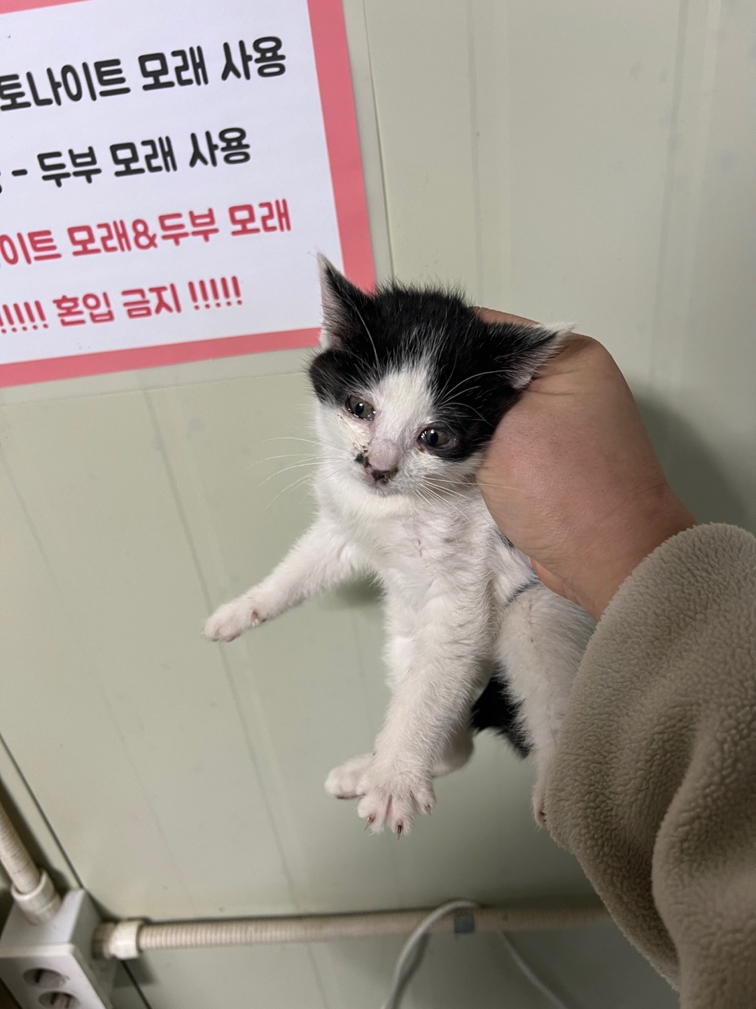 부산동물보호센터_426325202500012