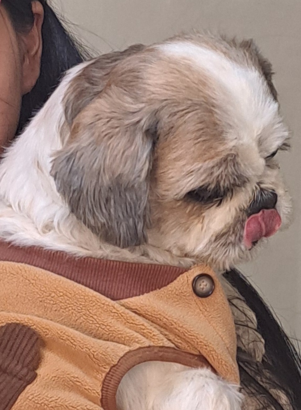 부산동물보호센터_426325202500011