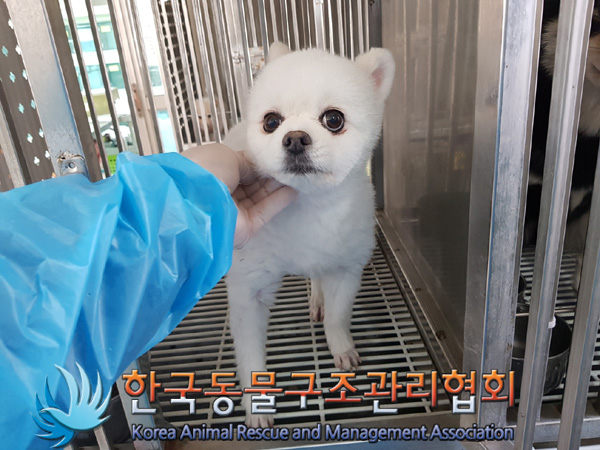 한국동물구조관리협회_411309202500010