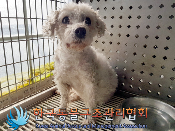 한국동물구조관리협회_441404202500016