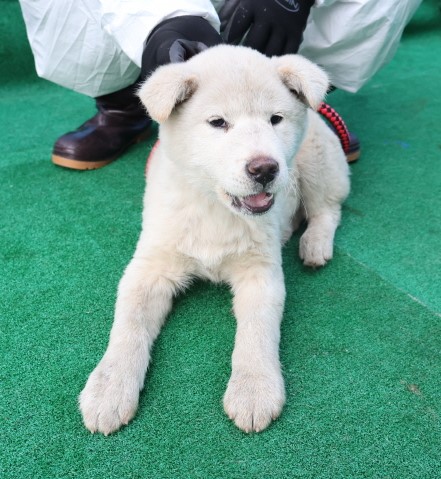 제주 동물보호센터_450650202500389
