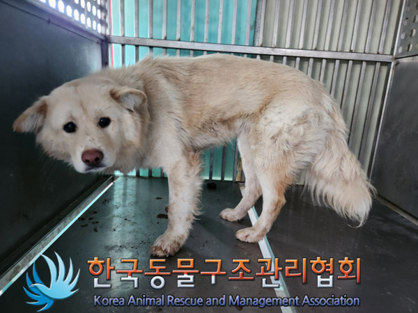 한국동물구조관리협회_441414202500066