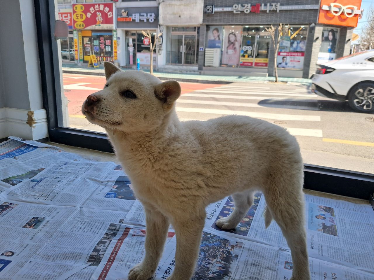 옥천동물병원_443443202500049