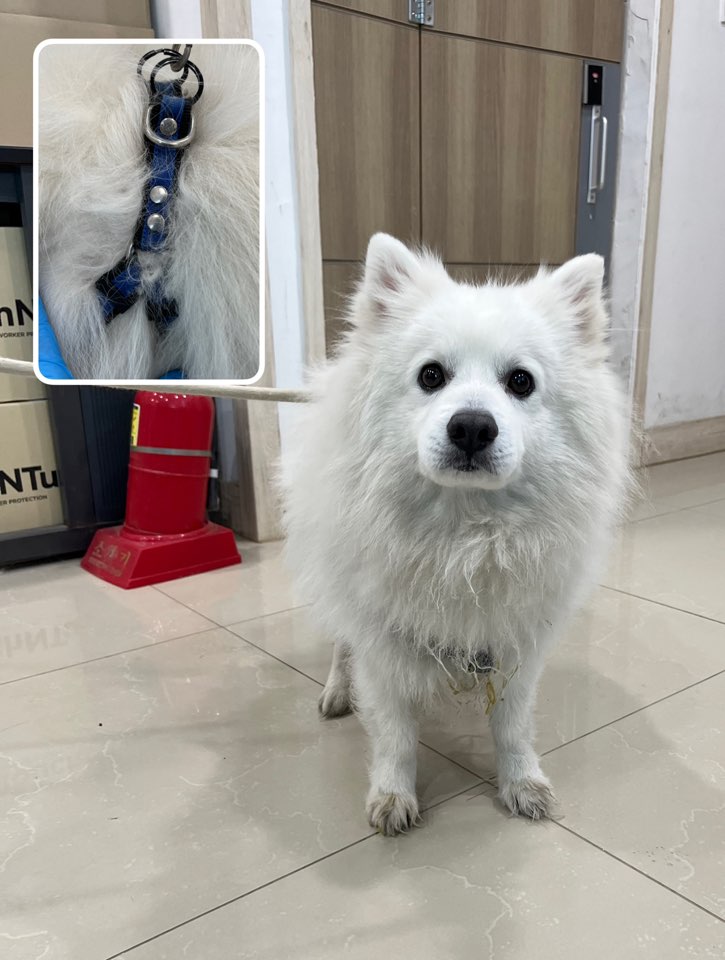 반려동물보호센터_443571202500140