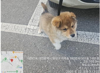 대전동물보호센터_430367202500051