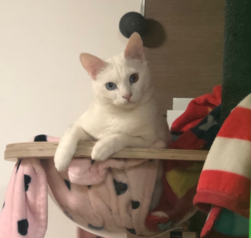 동대문구청_411305202500034