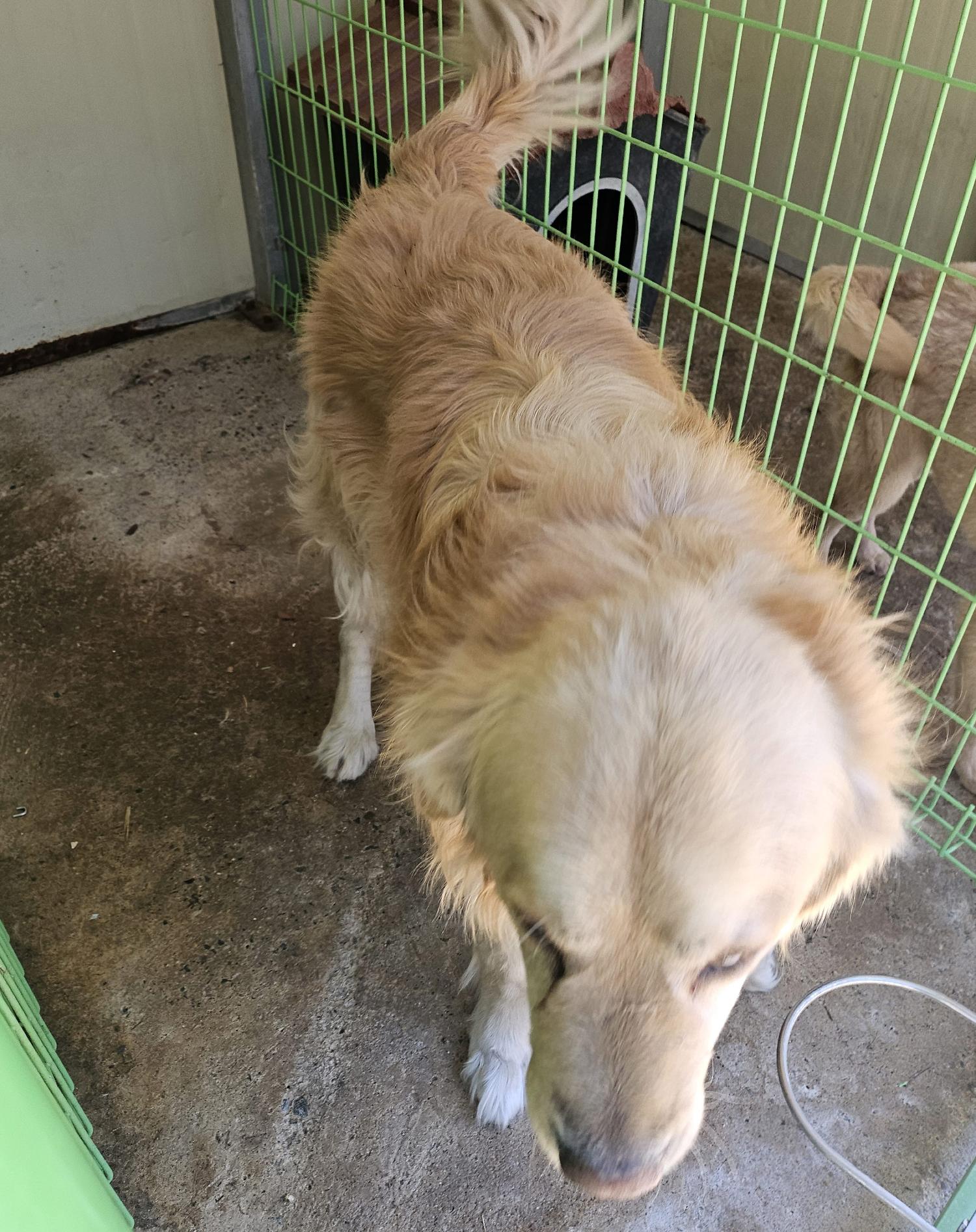 울진군동물보호센터_447525202500060