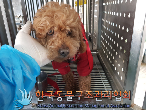 한국동물구조관리협회_441398202500021