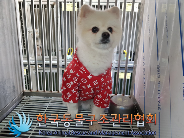 한국동물구조관리협회_411316202500012