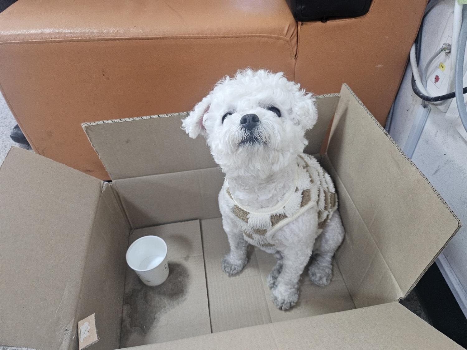 동구종합동물병원_426327202500007