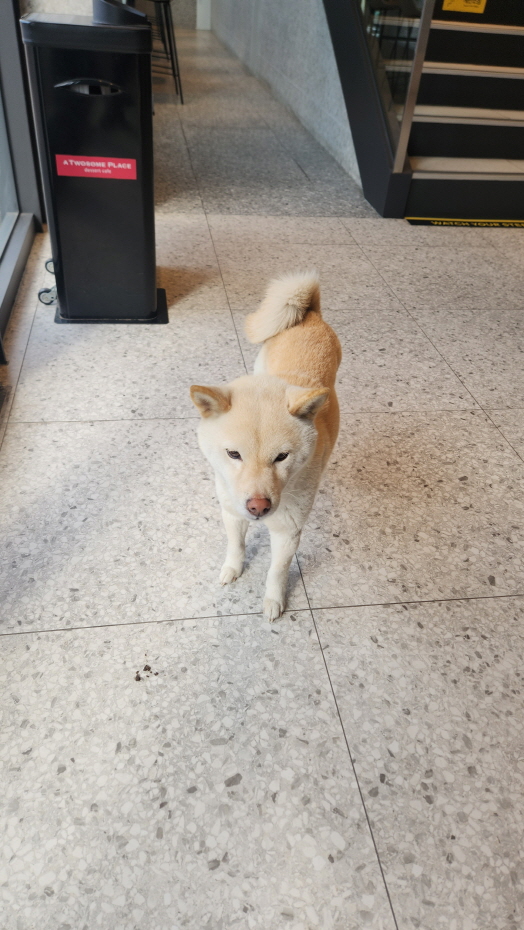 익산유기동물보호소_445468202500250