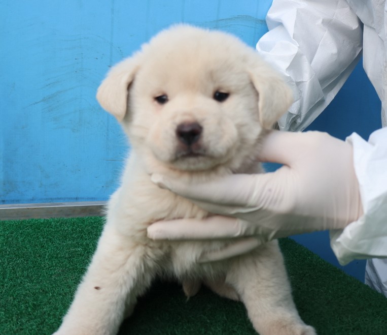 제주 동물보호센터_450650202500404