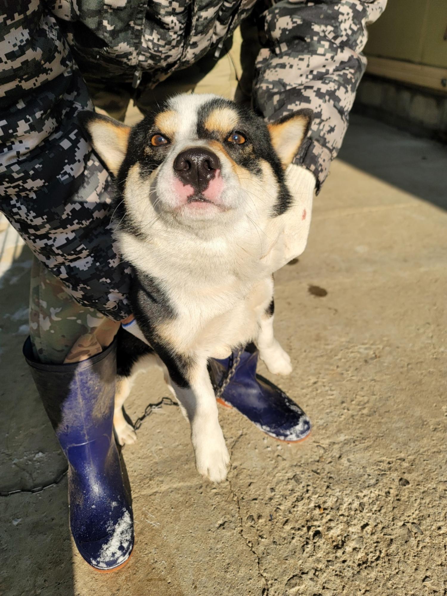 괴산증평동물보호센터_443446202500026