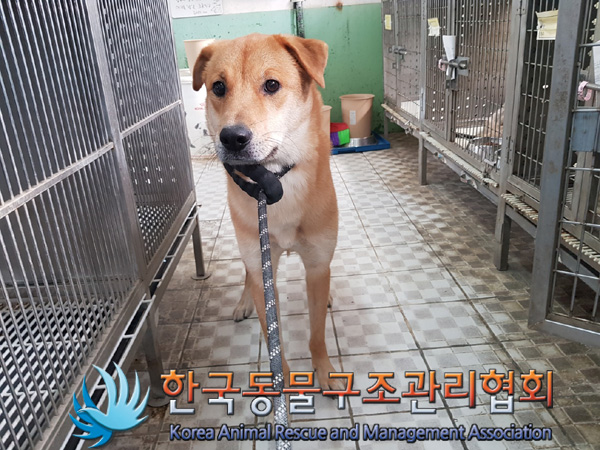 한국동물구조관리협회_411311202500029