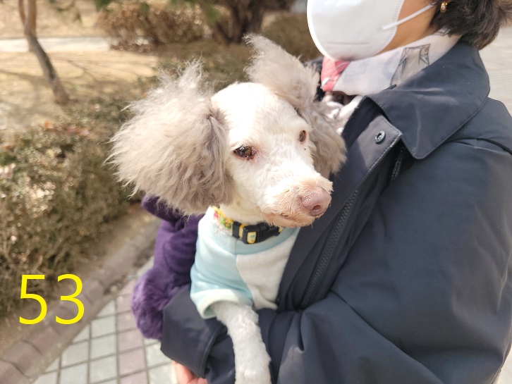 신영재동물병원_428355202500053