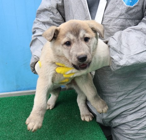 제주 동물보호센터_450650202500411