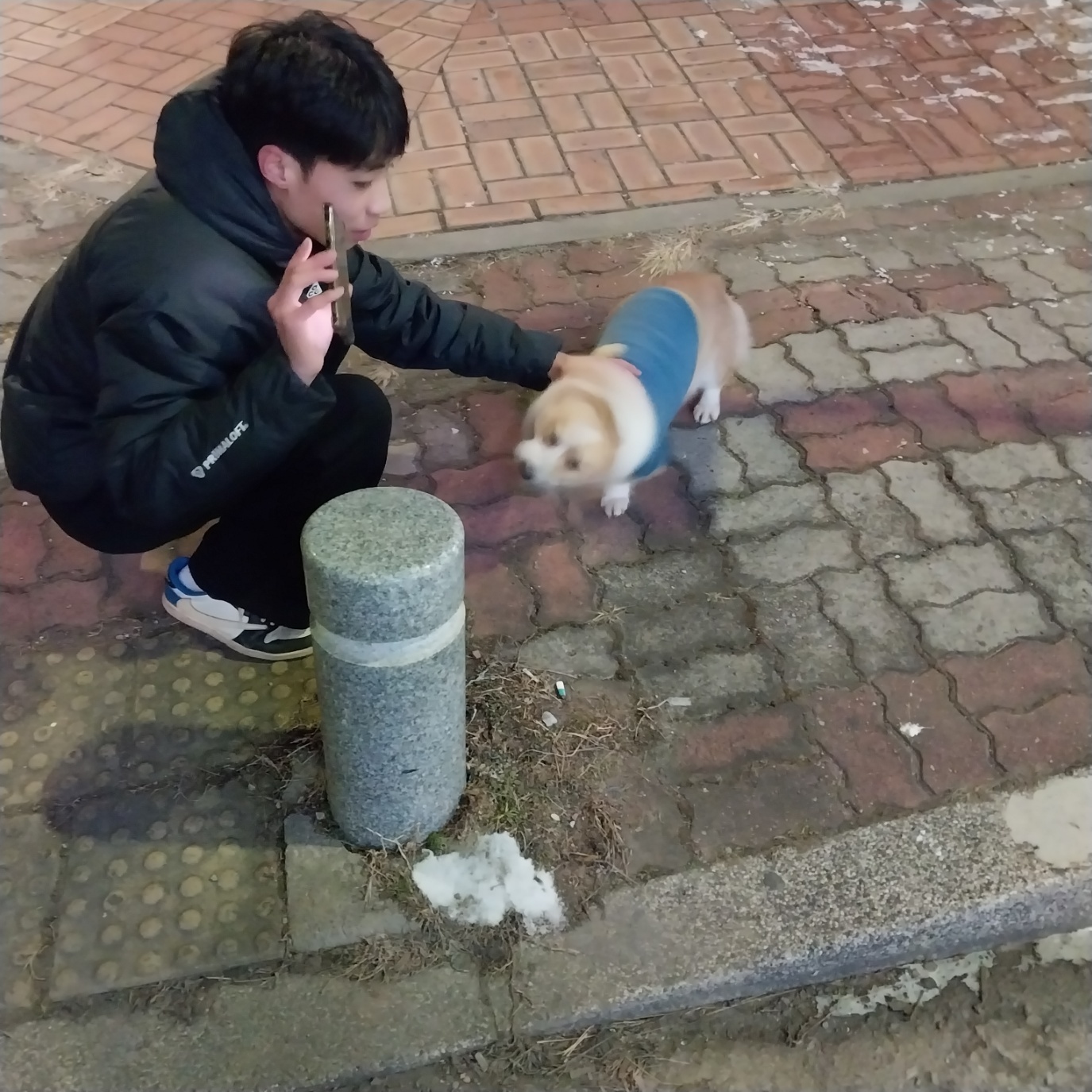 종료(반환) 웰시 …