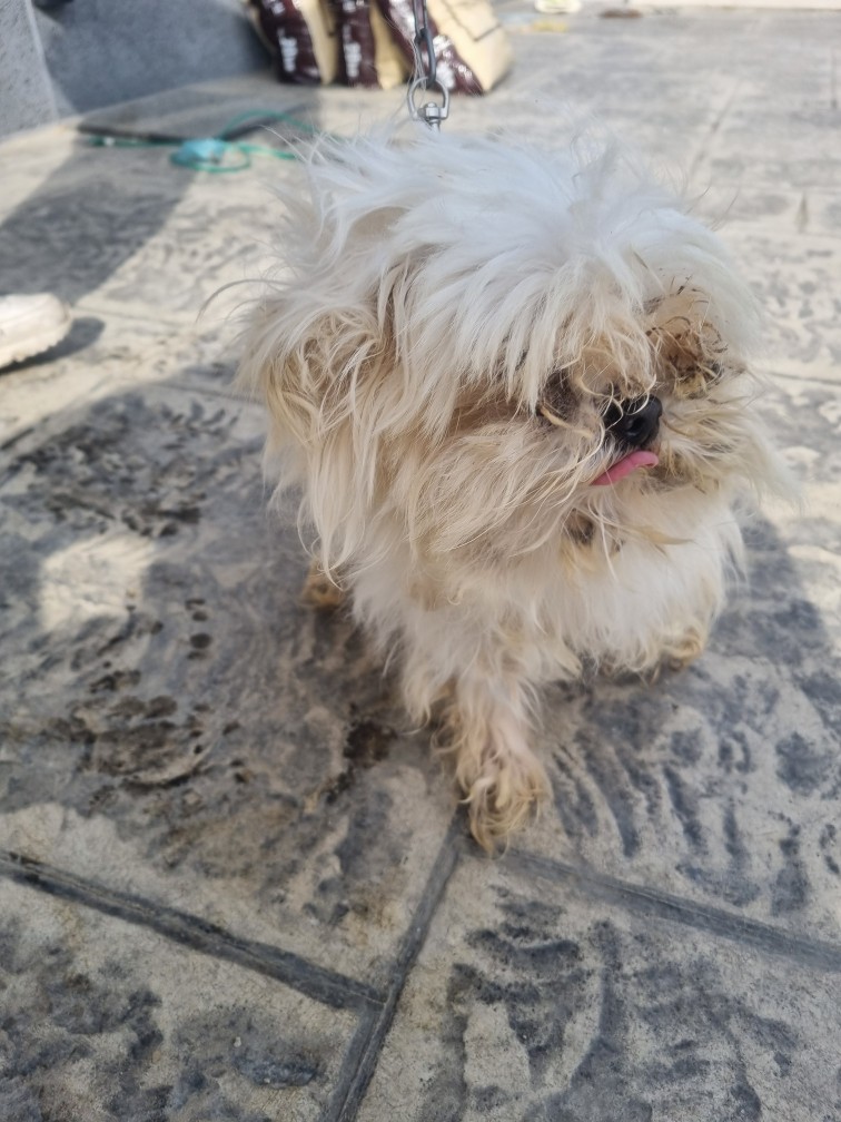 군위종합동물병원_427514202500048