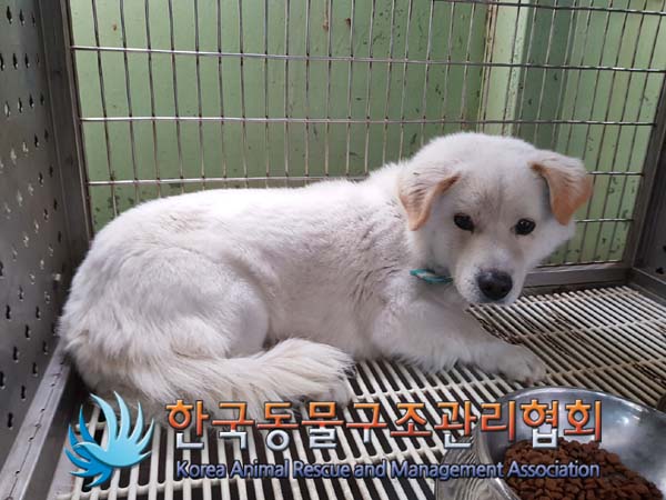 한국동물구조관리협회_441406202500101
