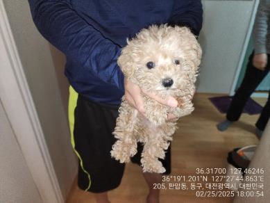 대전동물보호센터_430364202500033