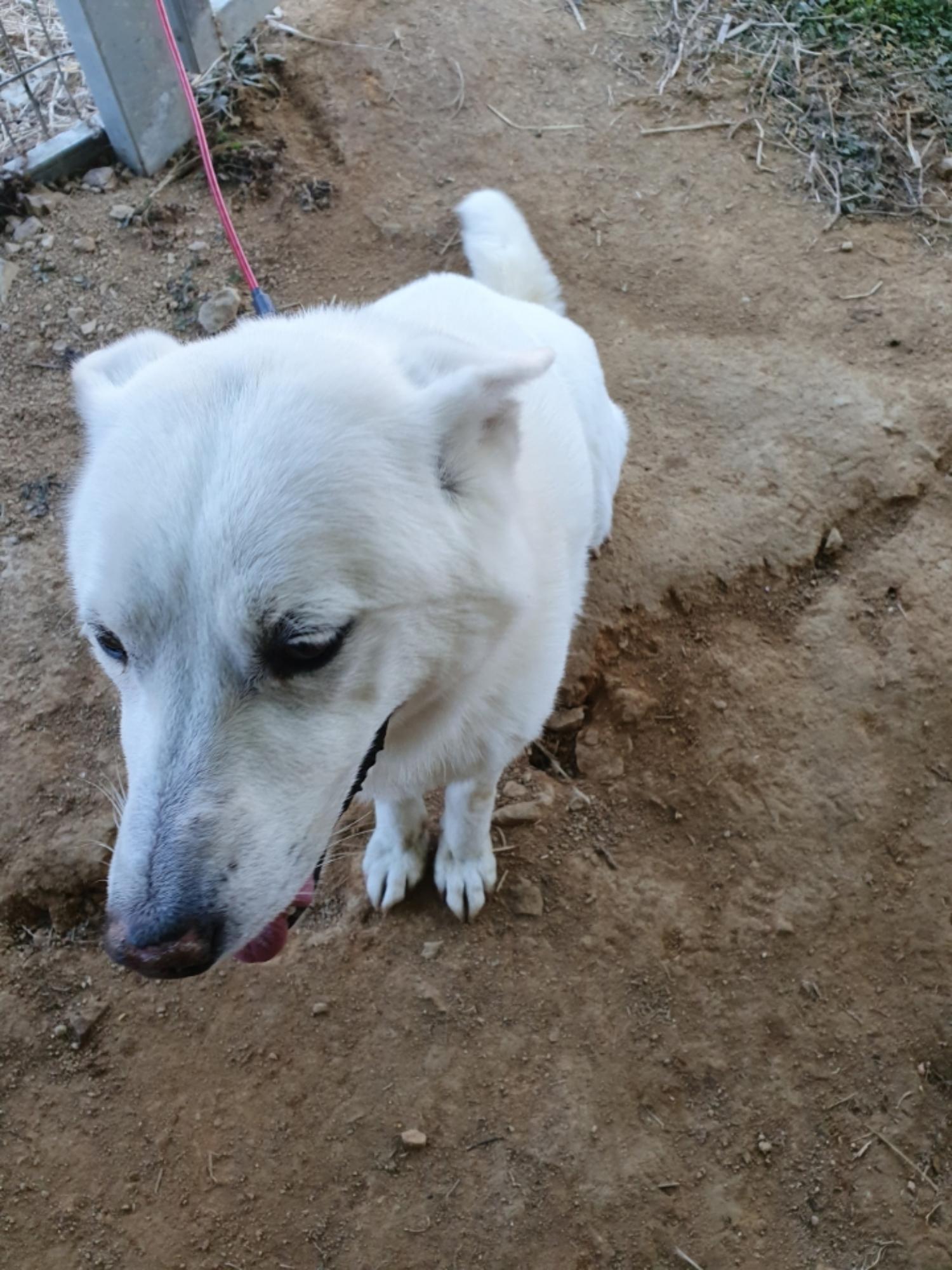 최종주동물병원_443444202500046