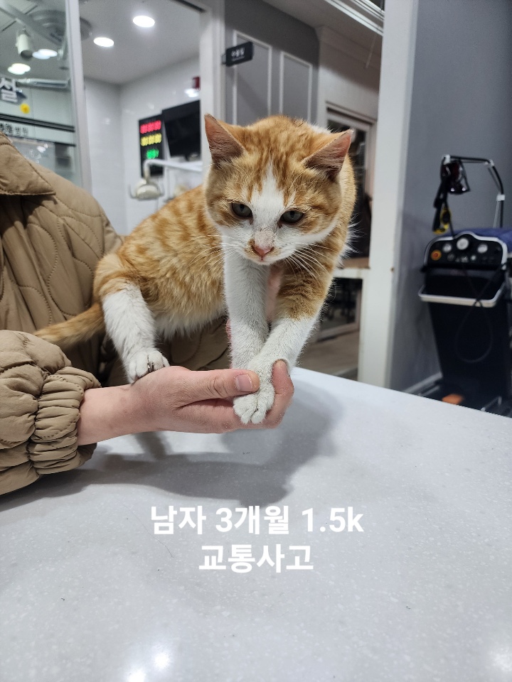 옥천동물병원_443443202500057