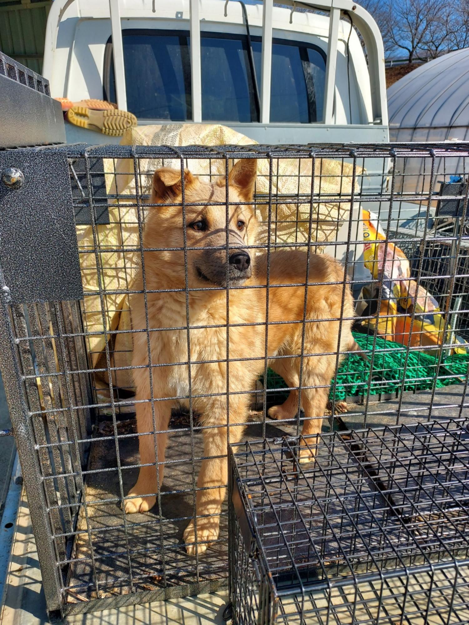 함양군위탁보호소_448546202500010