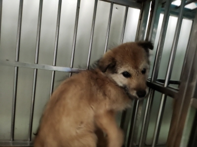 사단법인 동부_426340202500034