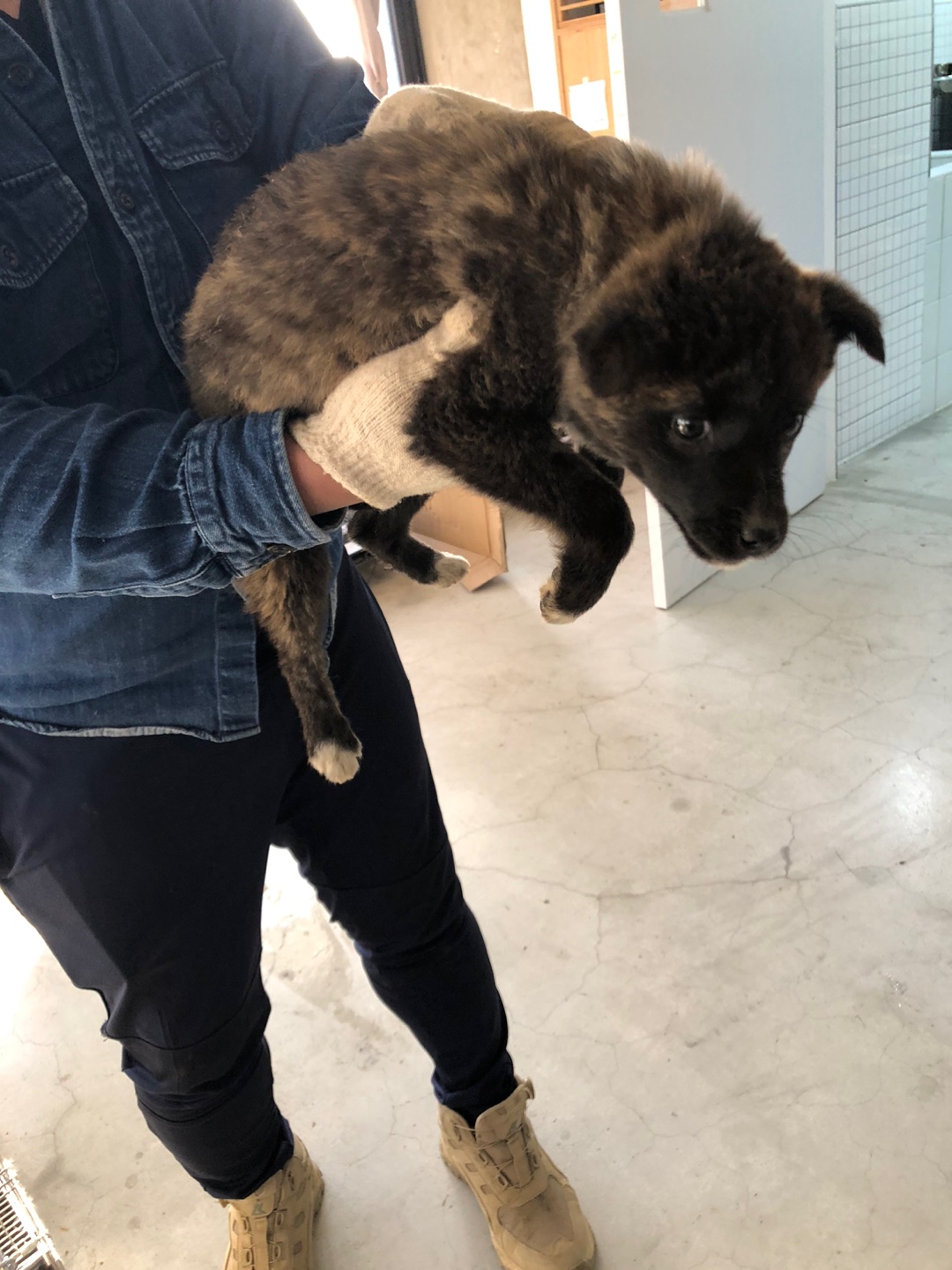 디디동물병원_428357202500105