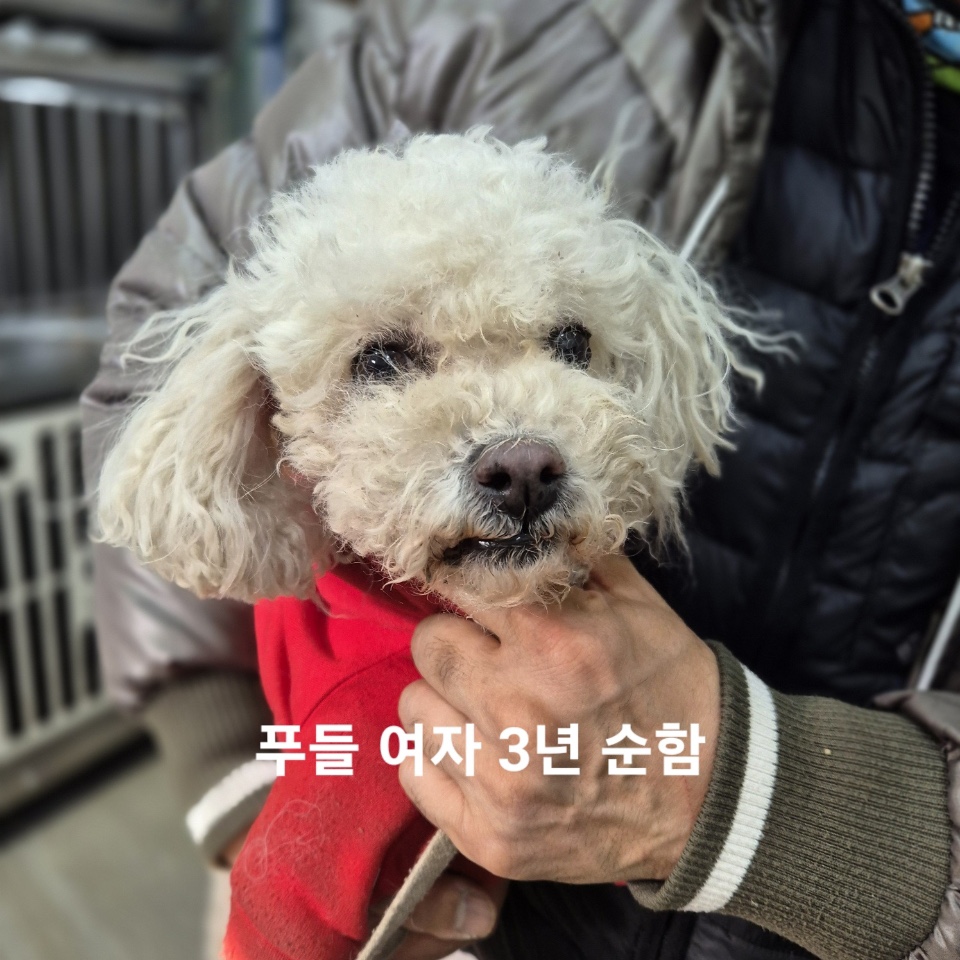 옥천동물병원_443443202500087