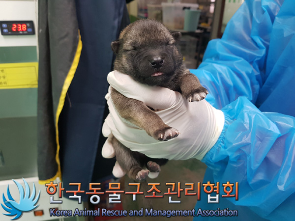 종료(자연사) 믹스…