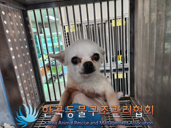 한국동물구조관리협회_411307202500014