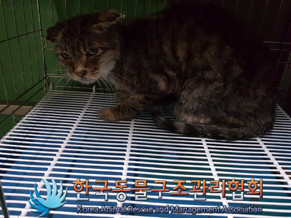 한국동물구조관리협회_441560202500171