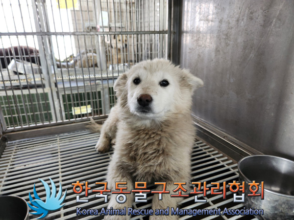 한국동물구조관리협회_441560202500173