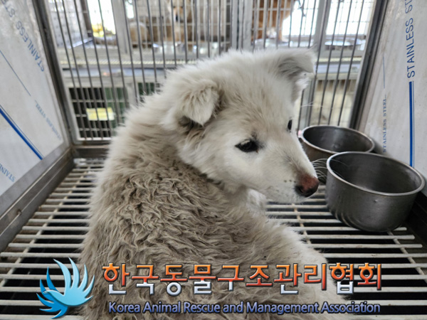 한국동물구조관리협회_441560202500172