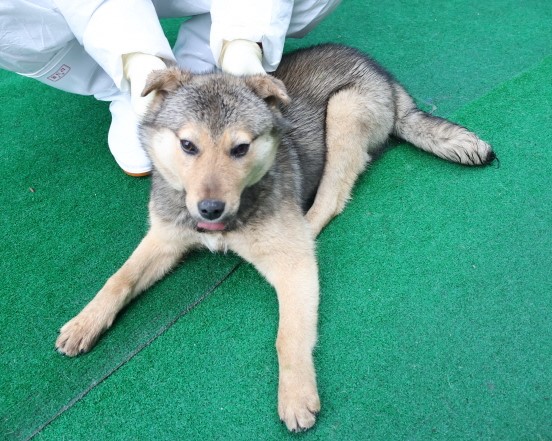 제주 동물보호센터_450650202500439