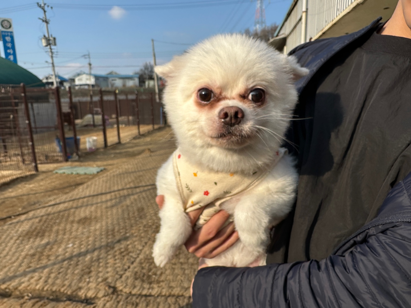 한국야생동물보호협회_441393202500126