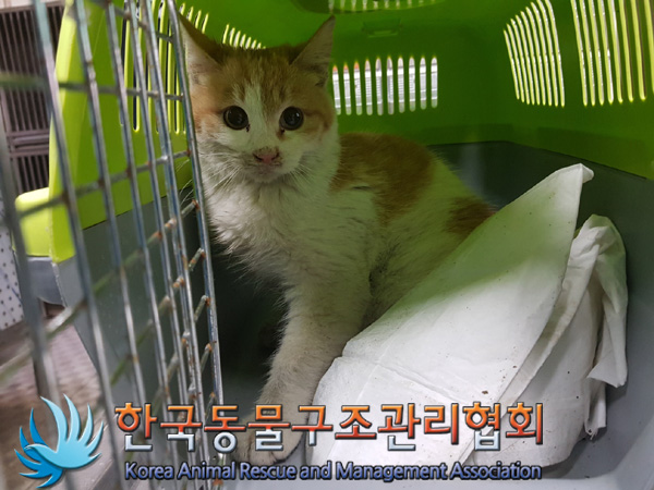 한국동물구조관리협회_411303202500021
