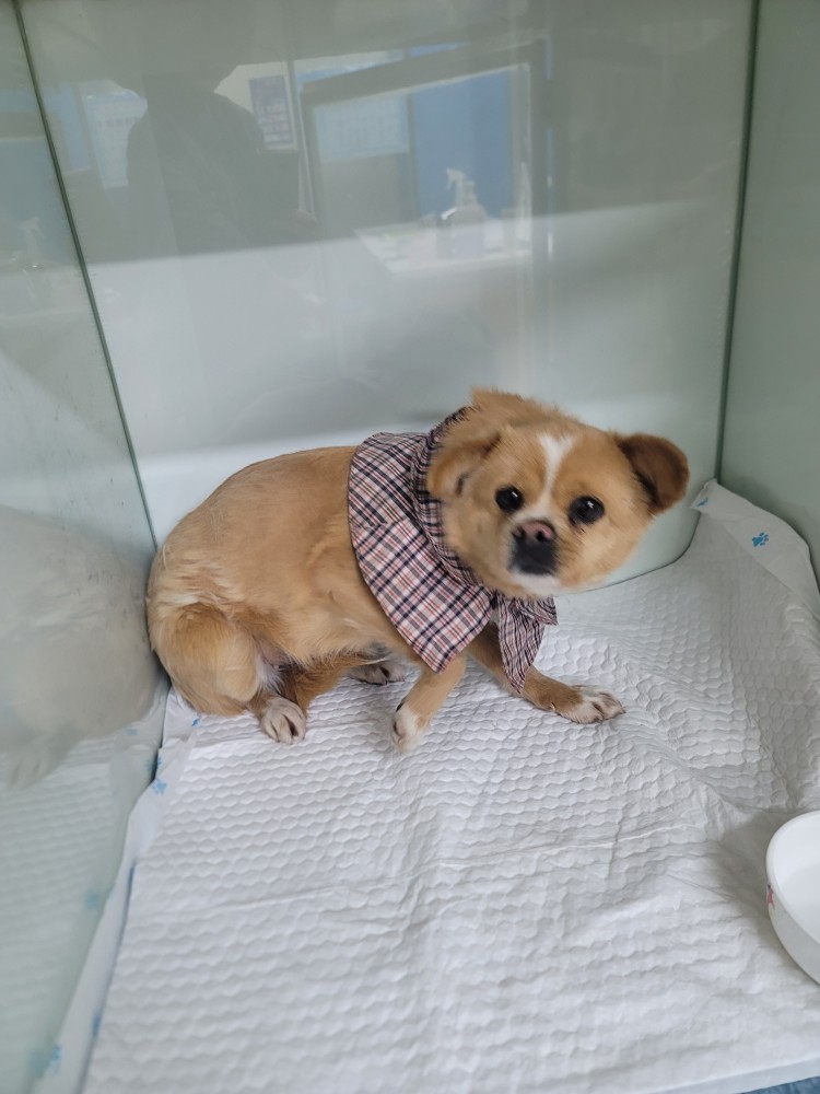 대구시수의사회(동인)_427341202500027
