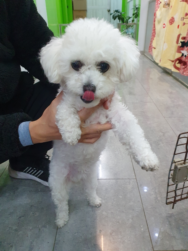 펫앤쉘터동물병원_441378202500058