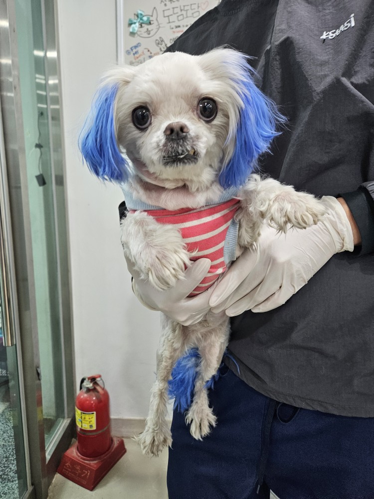 반려동물보호센터_443571202500161