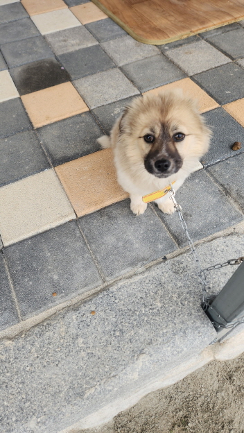 익산유기동물보호소_445468202500344